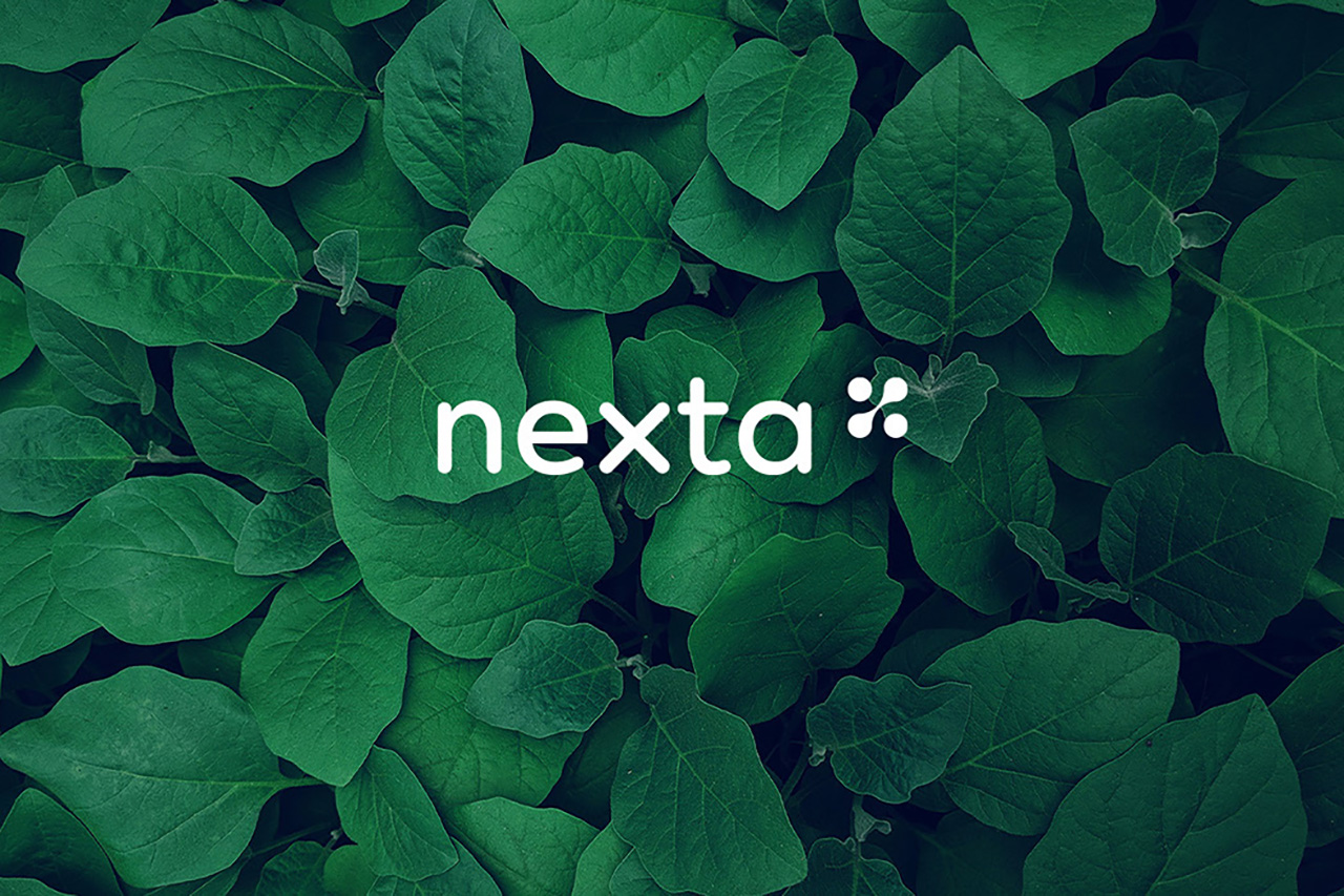 nexta品牌VI设计